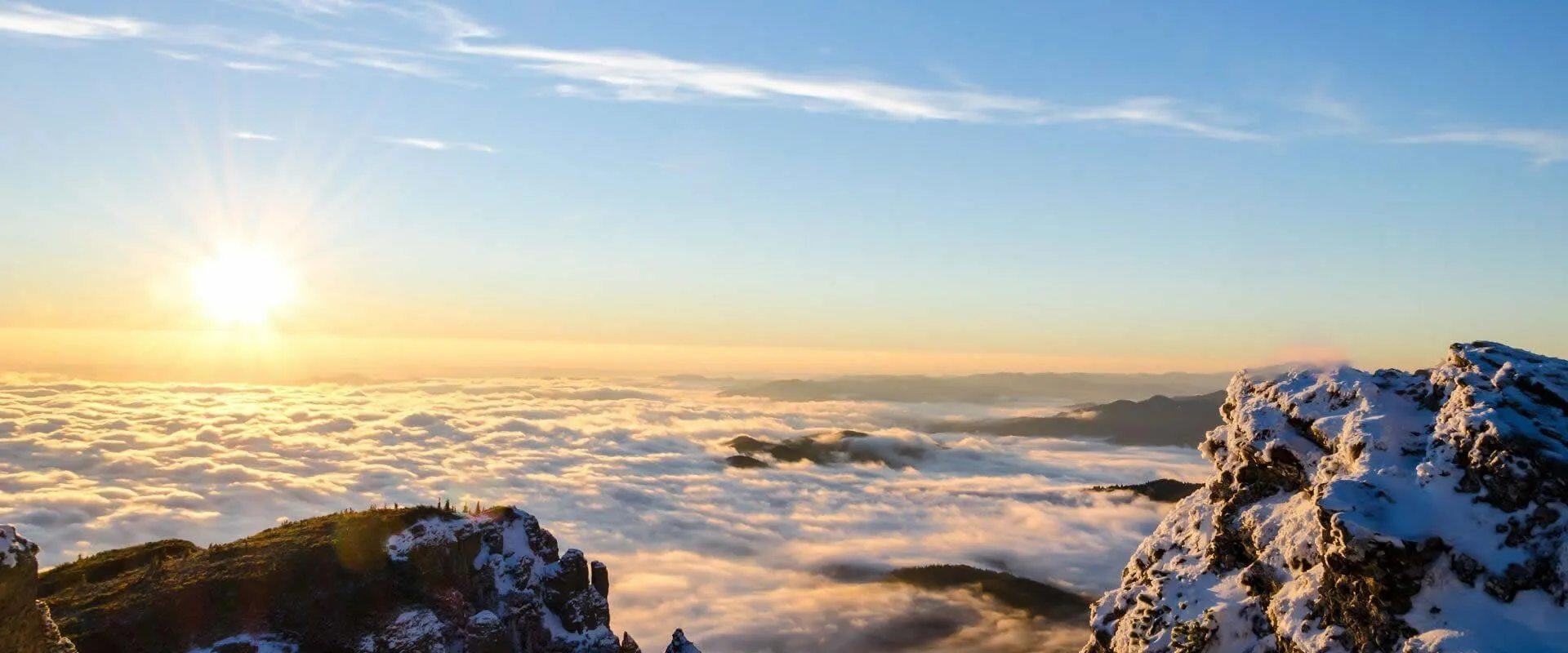 Une entreprise globale