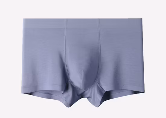 Printemps à haute élasticité pour hommes, sous-vêtements amples pour hommes, boxeur, emballage individuel